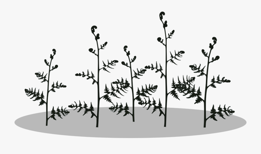 Vectors Free Clip Art For Plant Stall, Transparent Clipart