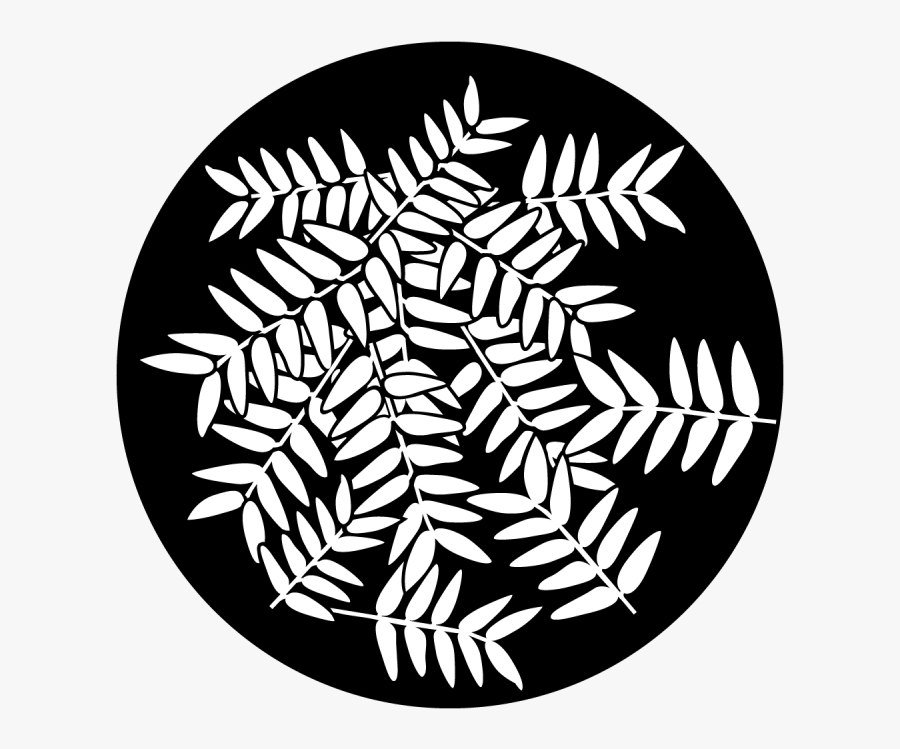 Apollo Ash Branches - Illustration, Transparent Clipart