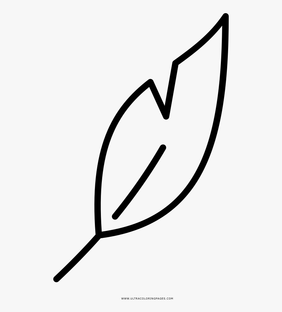 Feather Coloring Page, Transparent Clipart