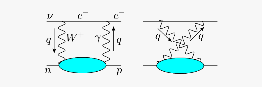 Circle, Transparent Clipart