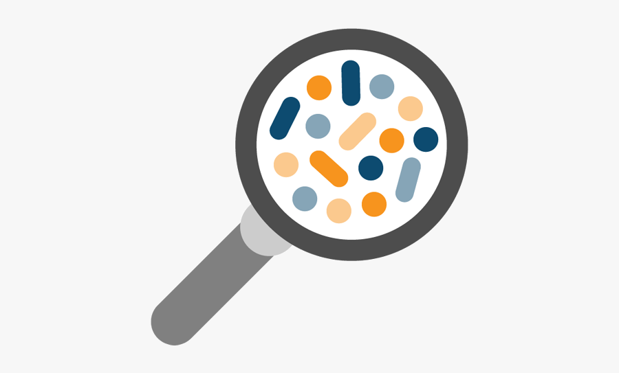 Assess - Circle, Transparent Clipart