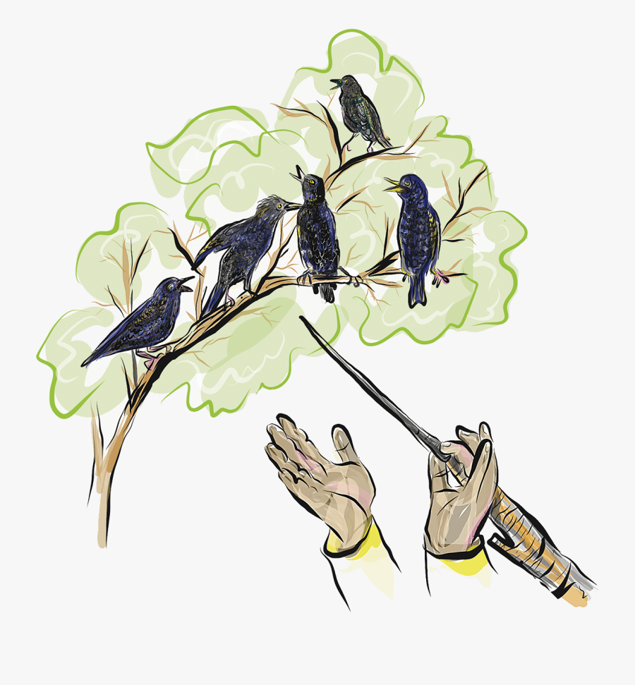 Stick-3 - Illustration, Transparent Clipart