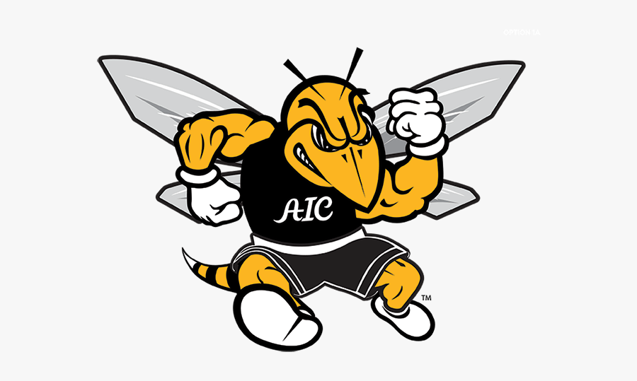 American International College Adds Women’s Triathlon - Yellow Jackets American International College, Transparent Clipart
