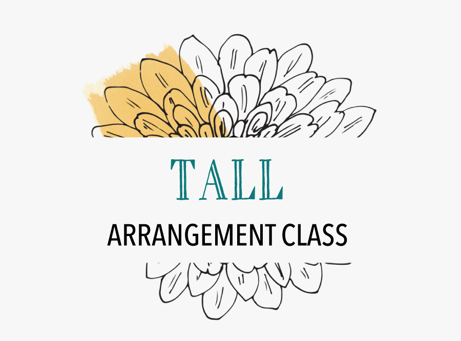 Aranj, Floral Design, Flower Design, Floral Arranging, - African Daisy, Transparent Clipart