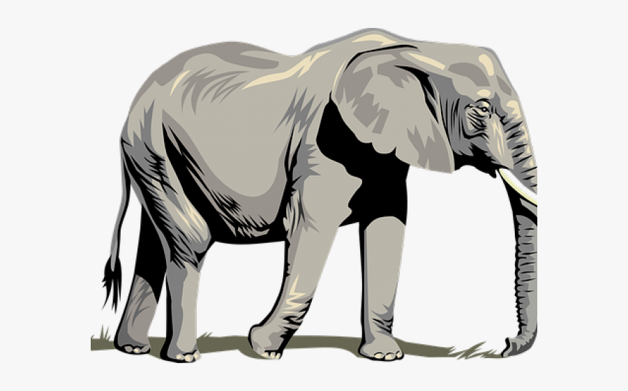 Tusk Clipart Asia Animal - Png Clipart Elephant Vector Png, Transparent Clipart