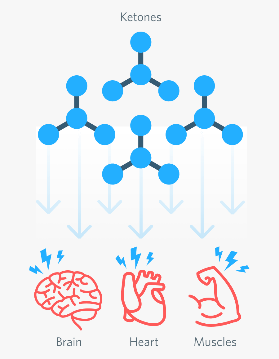 Nutritional Ketosis, Transparent Clipart