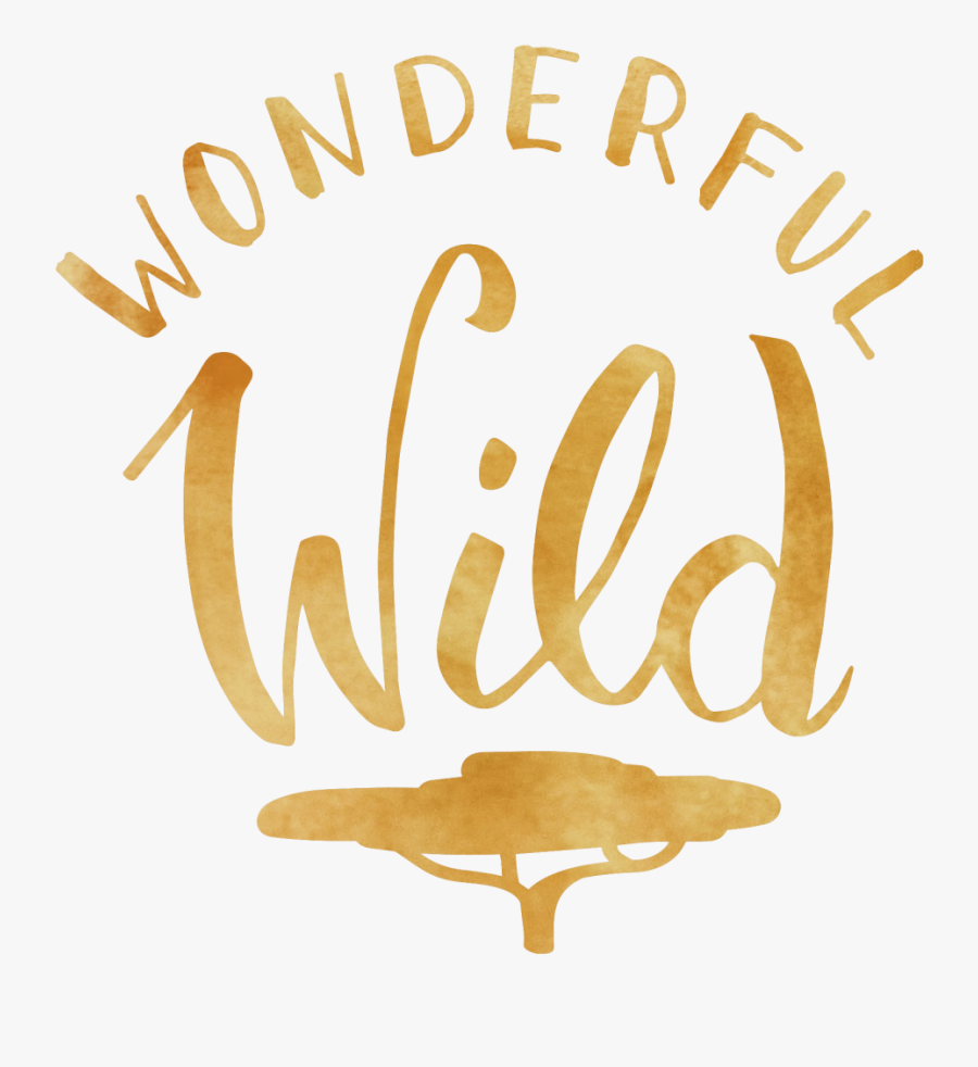 Download Wonderful Free Png Image - Calligraphy, Transparent Clipart