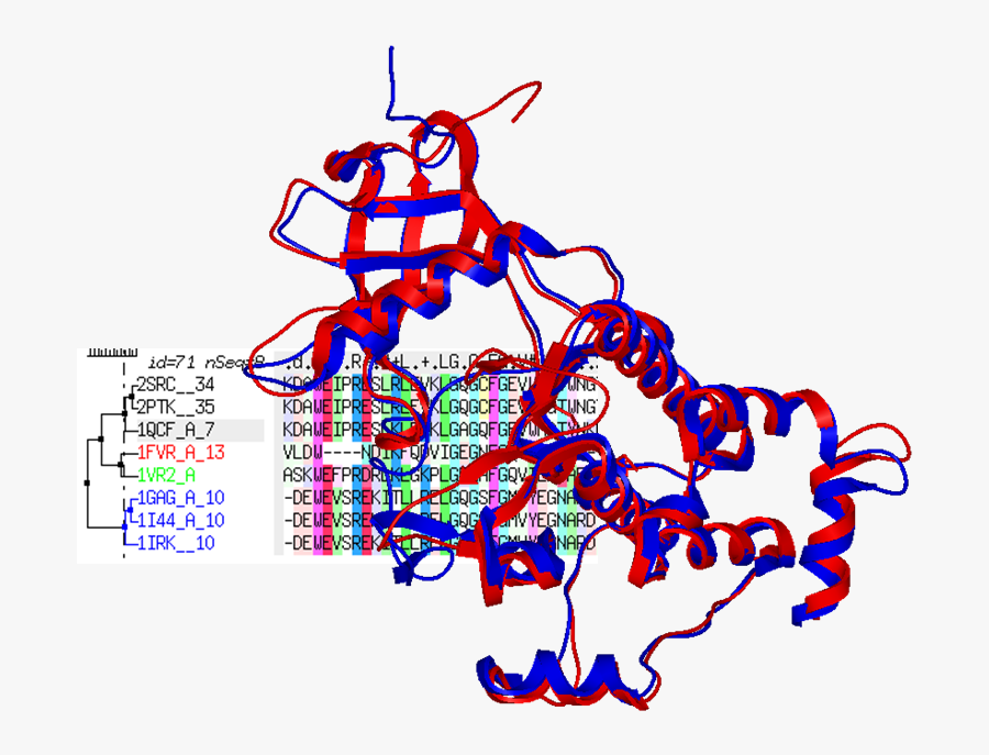 Protein Homology Modeling, Transparent Clipart