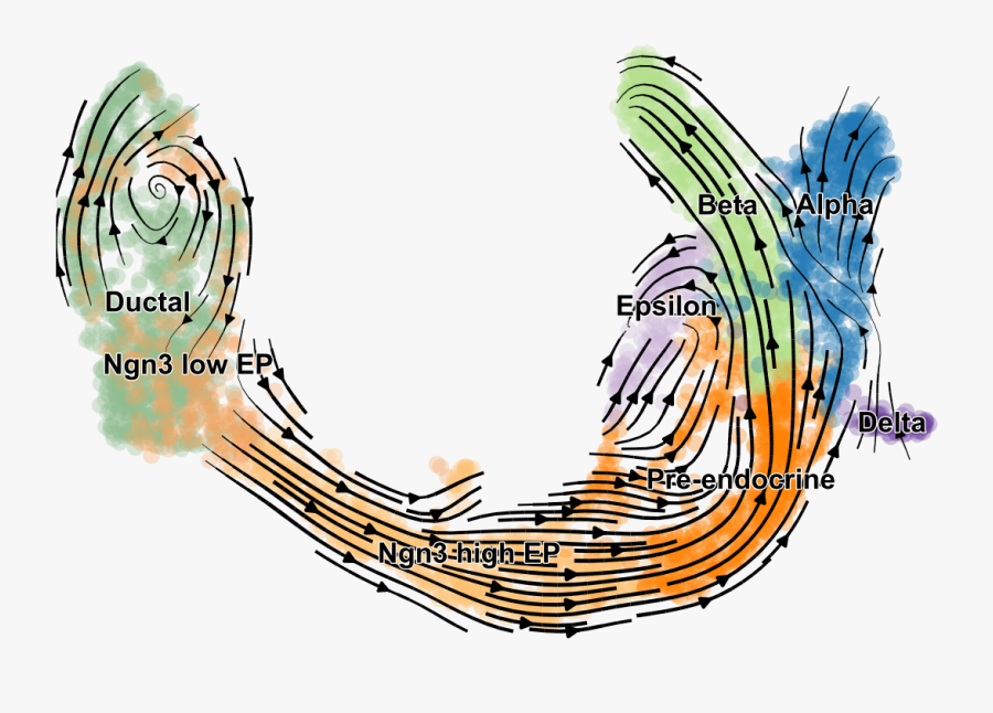 Https - //user Images - Githubusercontent - Com/31883718/67709134 - Illustration, Transparent Clipart