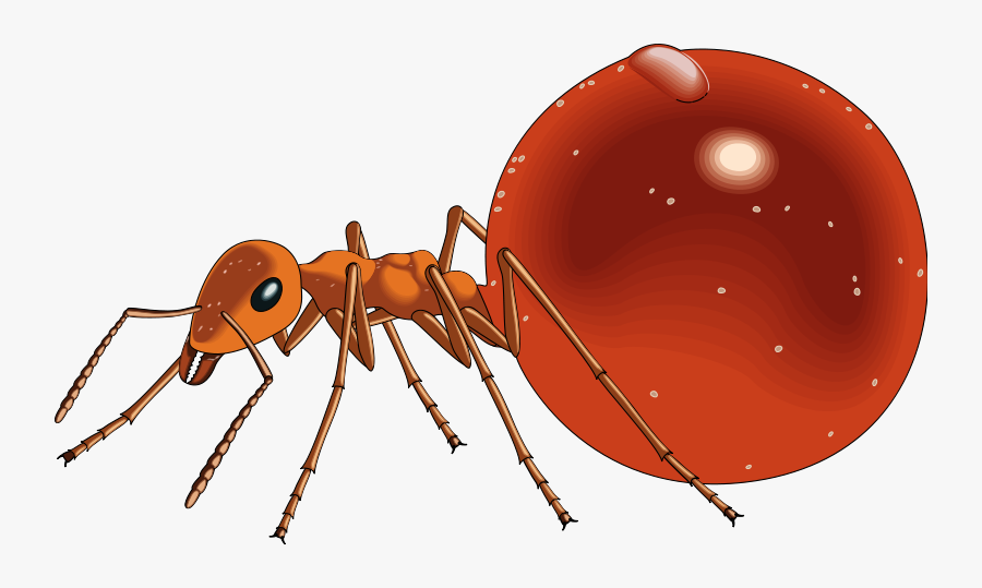 Free Vector Insect - Honey Ant Clip Art, Transparent Clipart