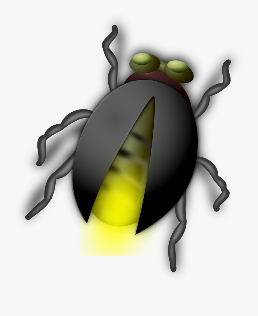 Glow Worm Glowworm Bug Free Photo - Bug Clip Art, Transparent Clipart