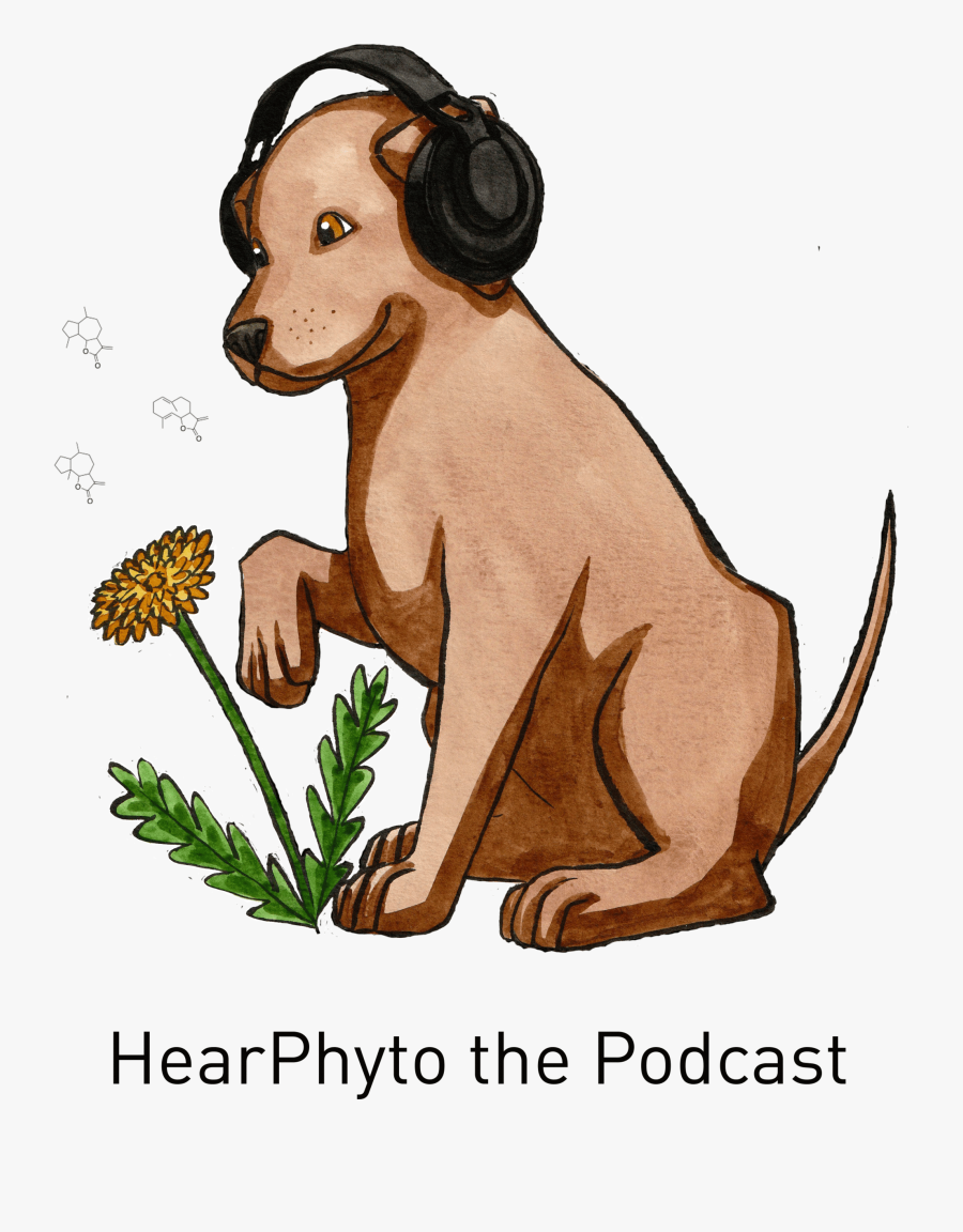 A Podcast About Ephedra"
 Style="max Width - Illustration, Transparent Clipart