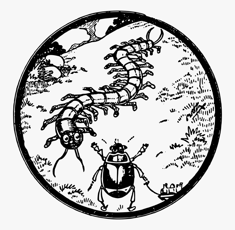 Bug Friends - Illustration, Transparent Clipart