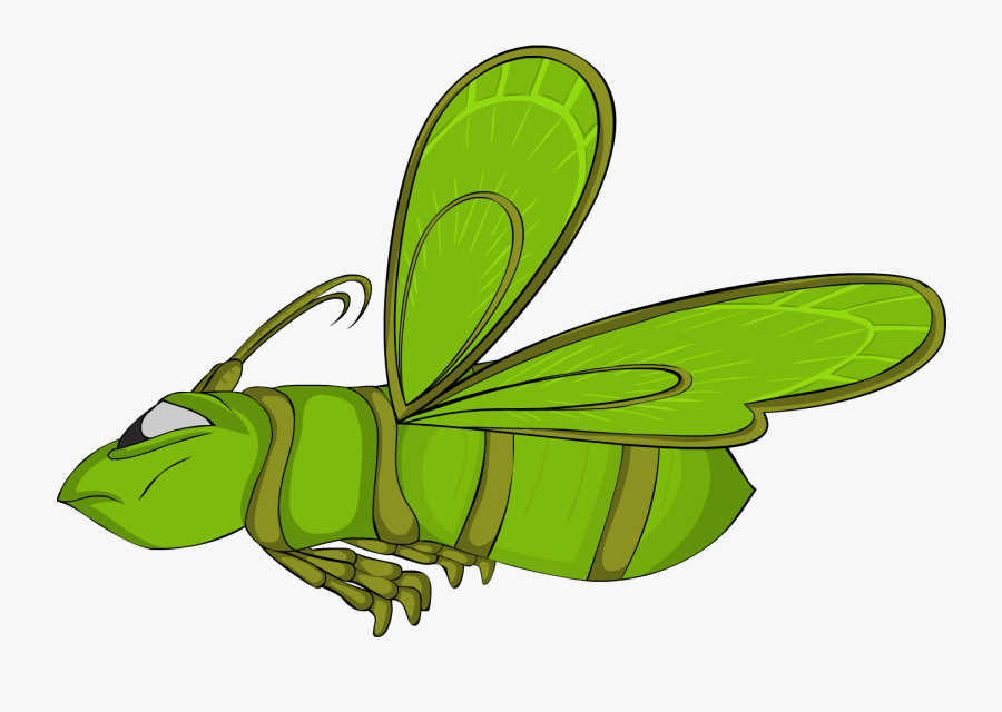 Firefly 0002 - House Fly, Transparent Clipart