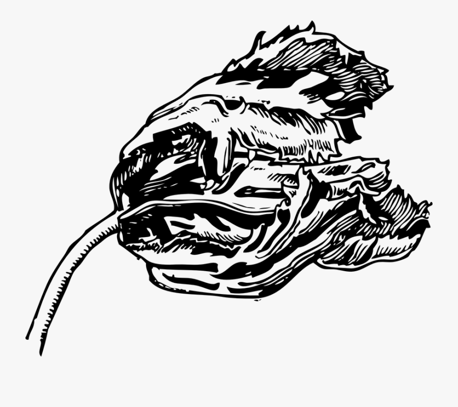 Tulip Clip Art Black And White, Transparent Clipart