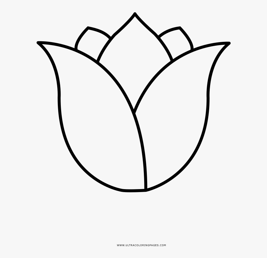 Tulip Icon White Png, Transparent Clipart
