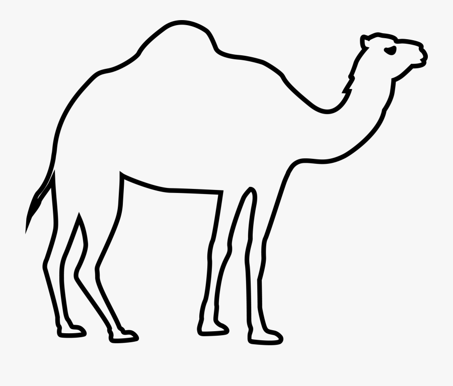 Eid Al Fitr Adha Transprent Png Alfitr - Camel Clipart Black And White, Transparent Clipart