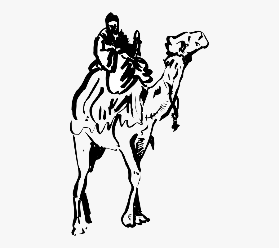 Transparent Camel Clipart Black And White - Camel Logo Vector Png, Transparent Clipart