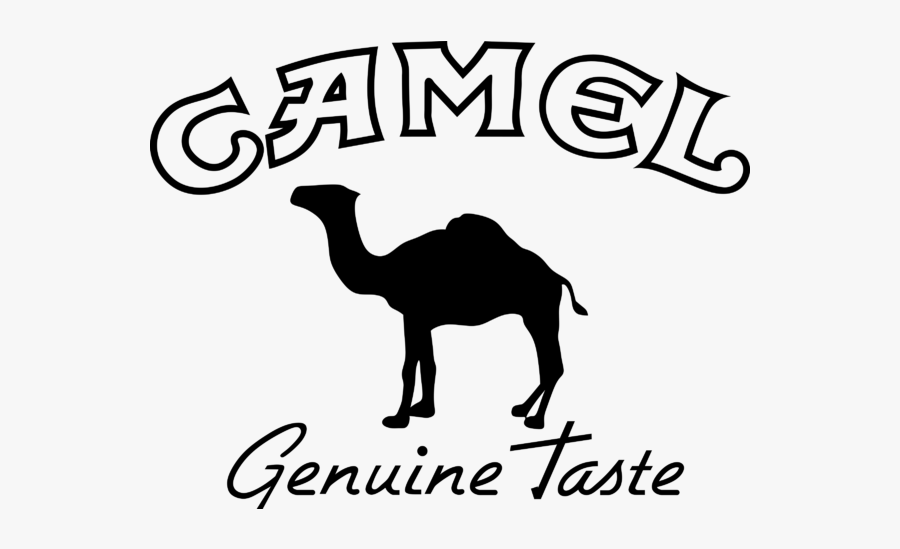 Logo Camel, Transparent Clipart