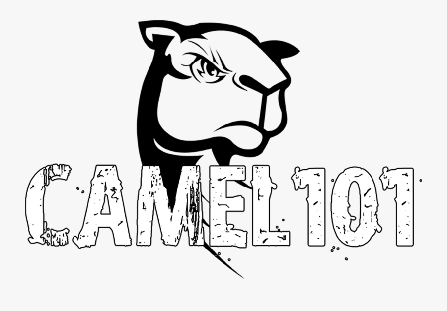 Camel, Transparent Clipart