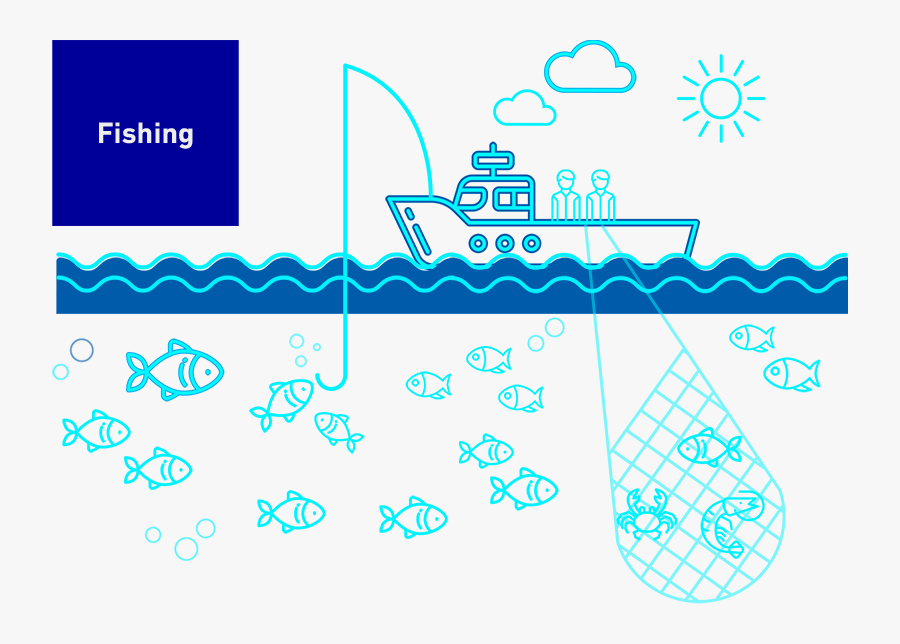 Fishing, Transparent Clipart