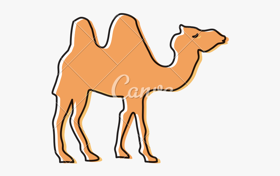Design Graphics Camel, Transparent Clipart