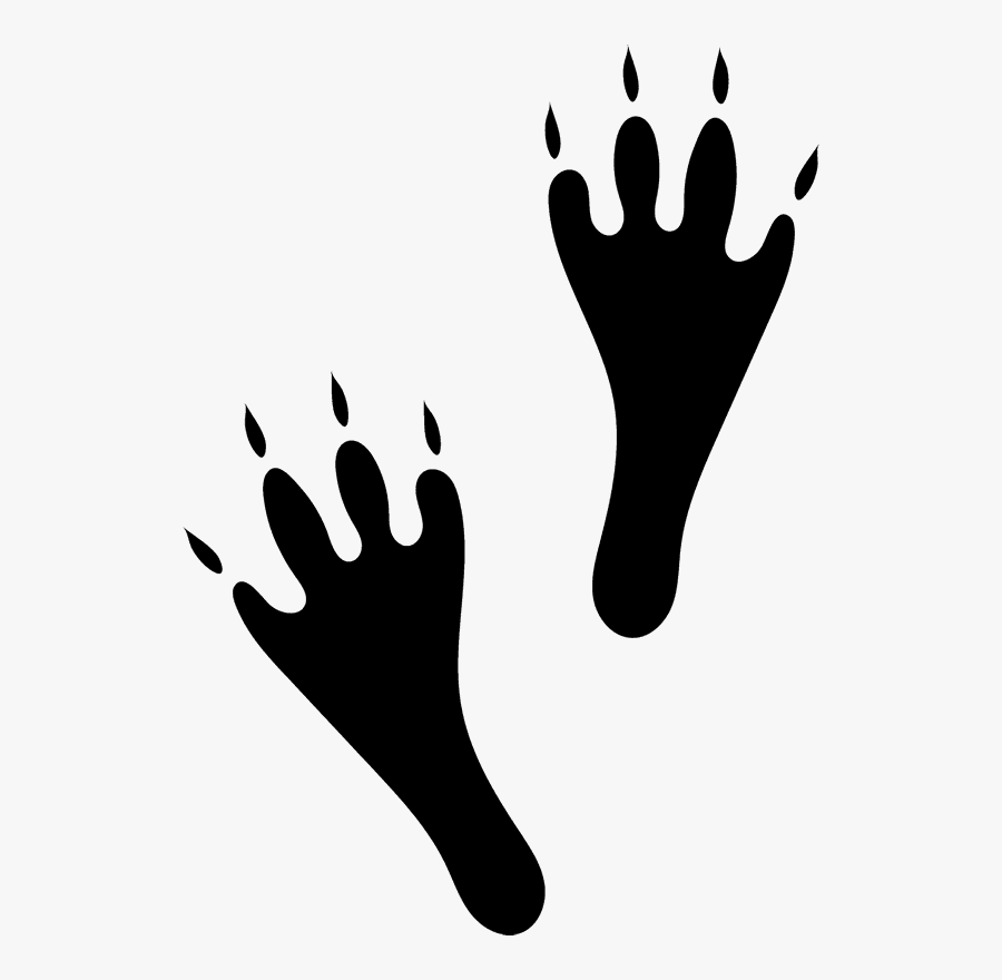 Hare Tracks, Transparent Clipart