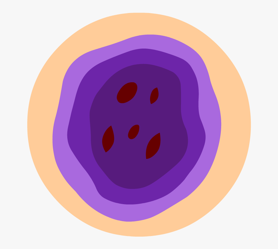 Circle, Transparent Clipart