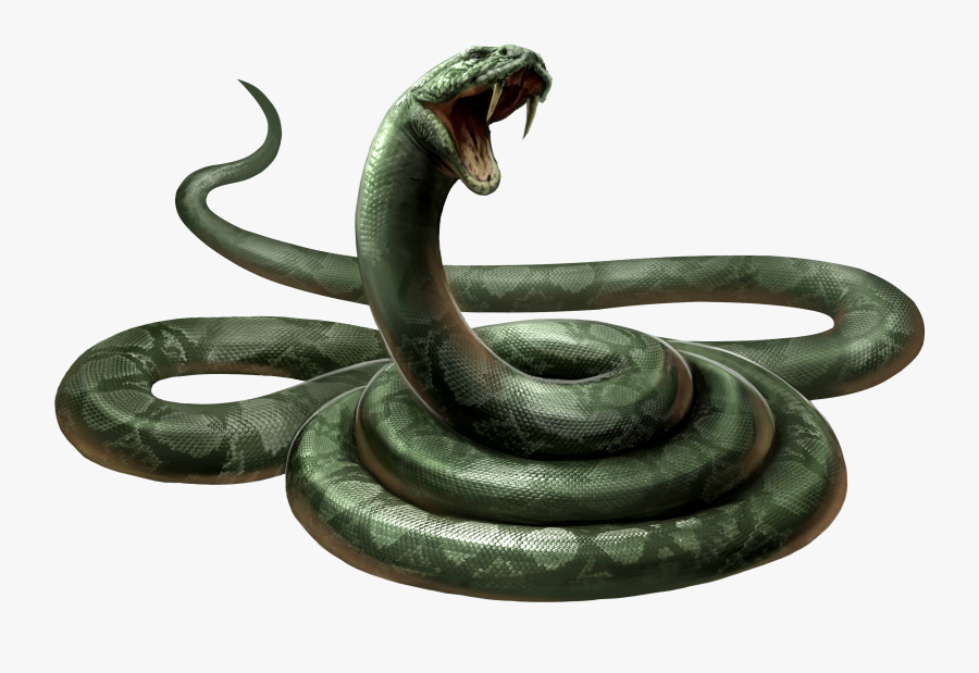 Harry Potter Wiki - Nagini Horcrux, Transparent Clipart