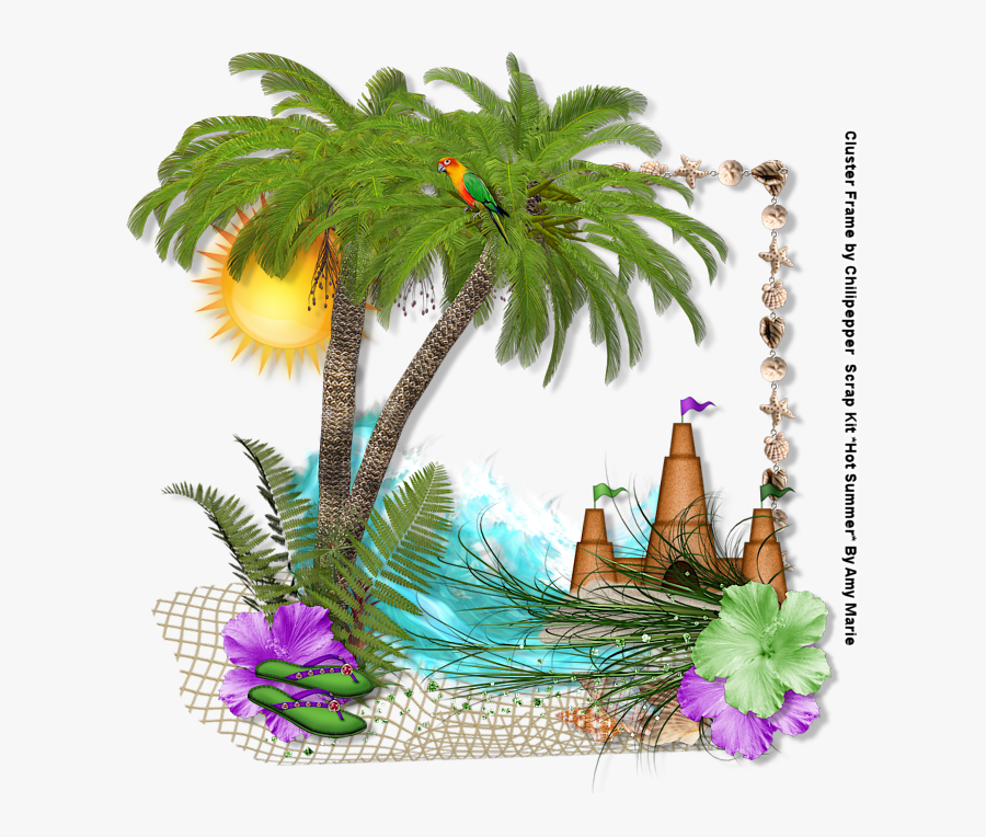Roystonea, Transparent Clipart