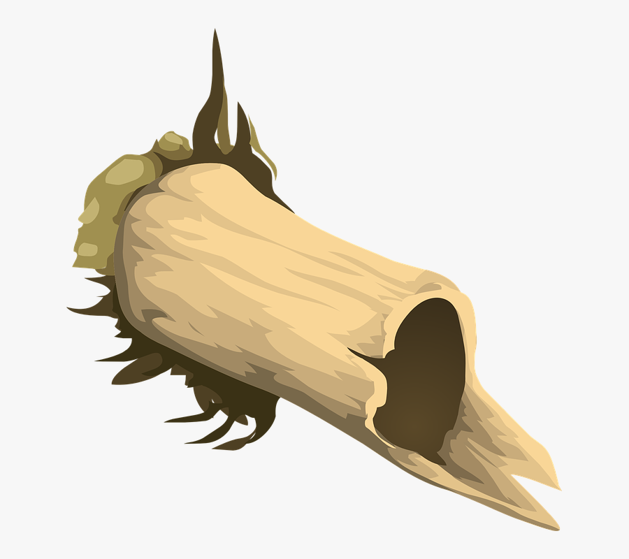 Huesos Rotos Png, Transparent Clipart