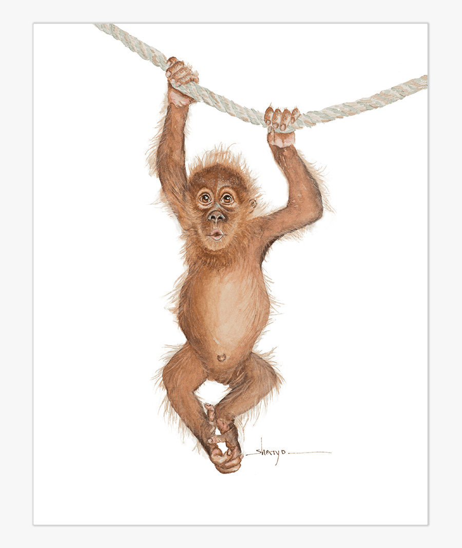Baby Orangutan Wall Art"
 Class= - Animated Cute Orangutan Baby Orangutan Cartoon Orangutan, Transparent Clipart