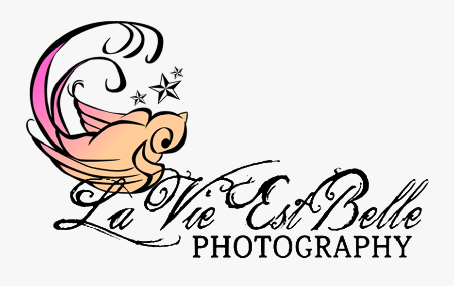 Beautiful Memories Deserve Beautiful Portraits - Pako Litto, Transparent Clipart