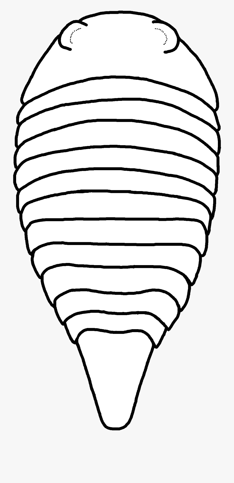 Paleomerus Hamiltoni - Line Art, Transparent Clipart