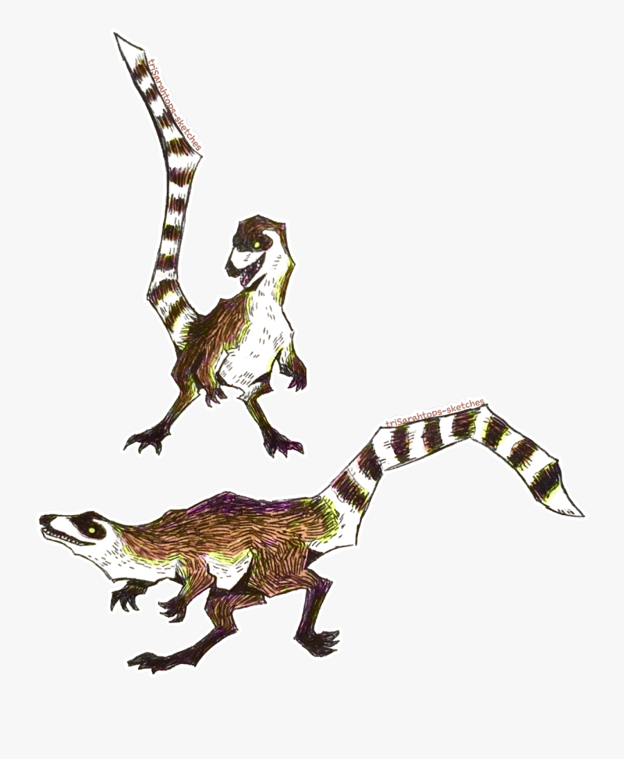 Illustration, Transparent Clipart