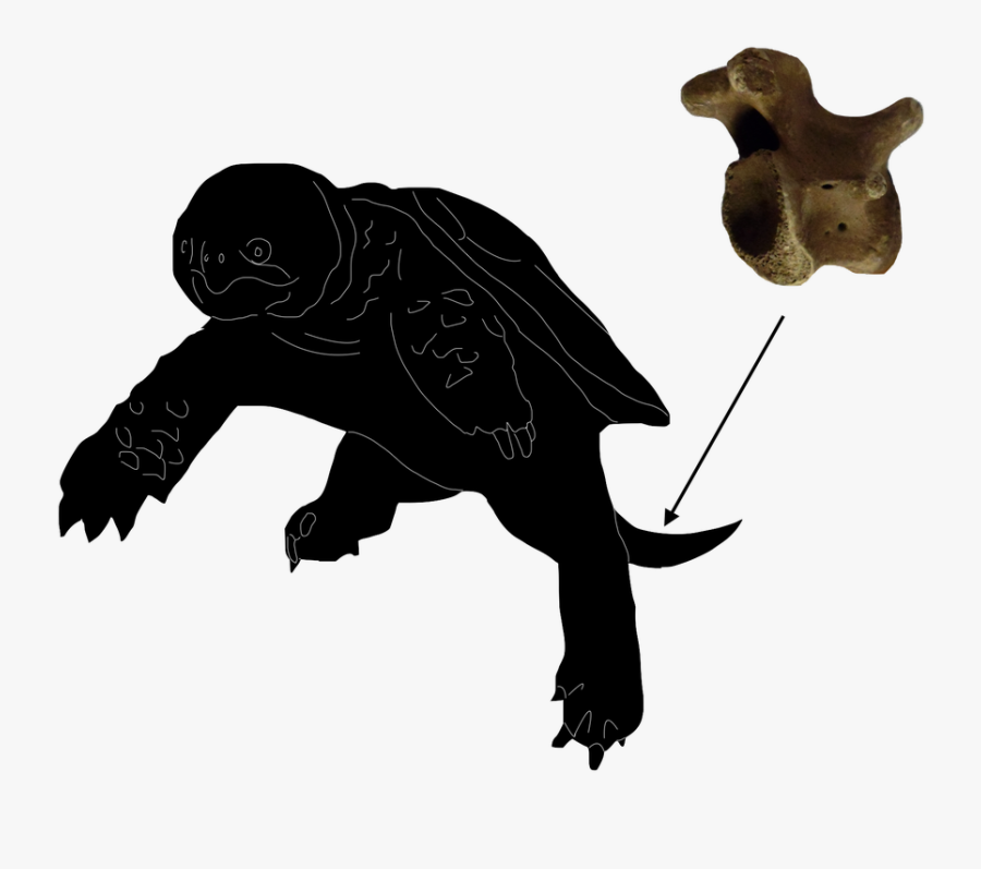 Illustration, Transparent Clipart