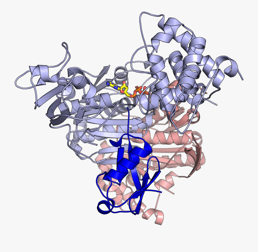 1y8r Sumo E1 - Illustration, Transparent Clipart