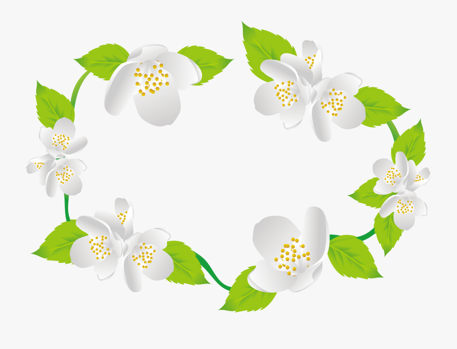 Decorative Clipart Jasmine Flower - Burnet Rose, Transparent Clipart