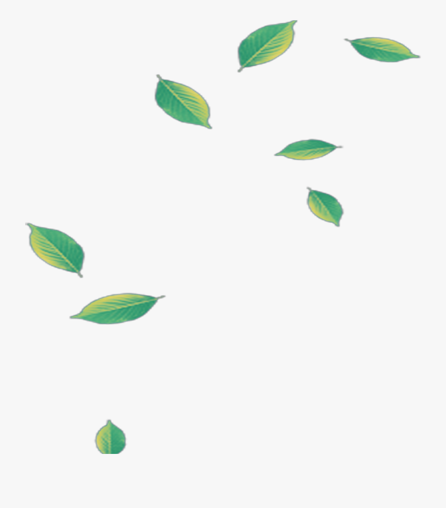 #mq #green #leaf #leaves #falling - Green Leaf Falling Png, Transparent Clipart