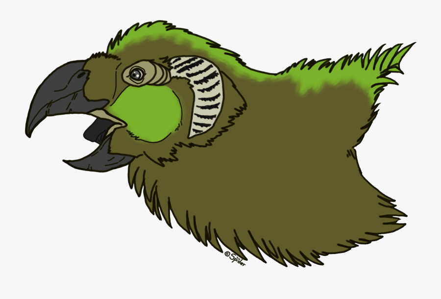 Parrot Griffin Headshot - Cartoon, Transparent Clipart