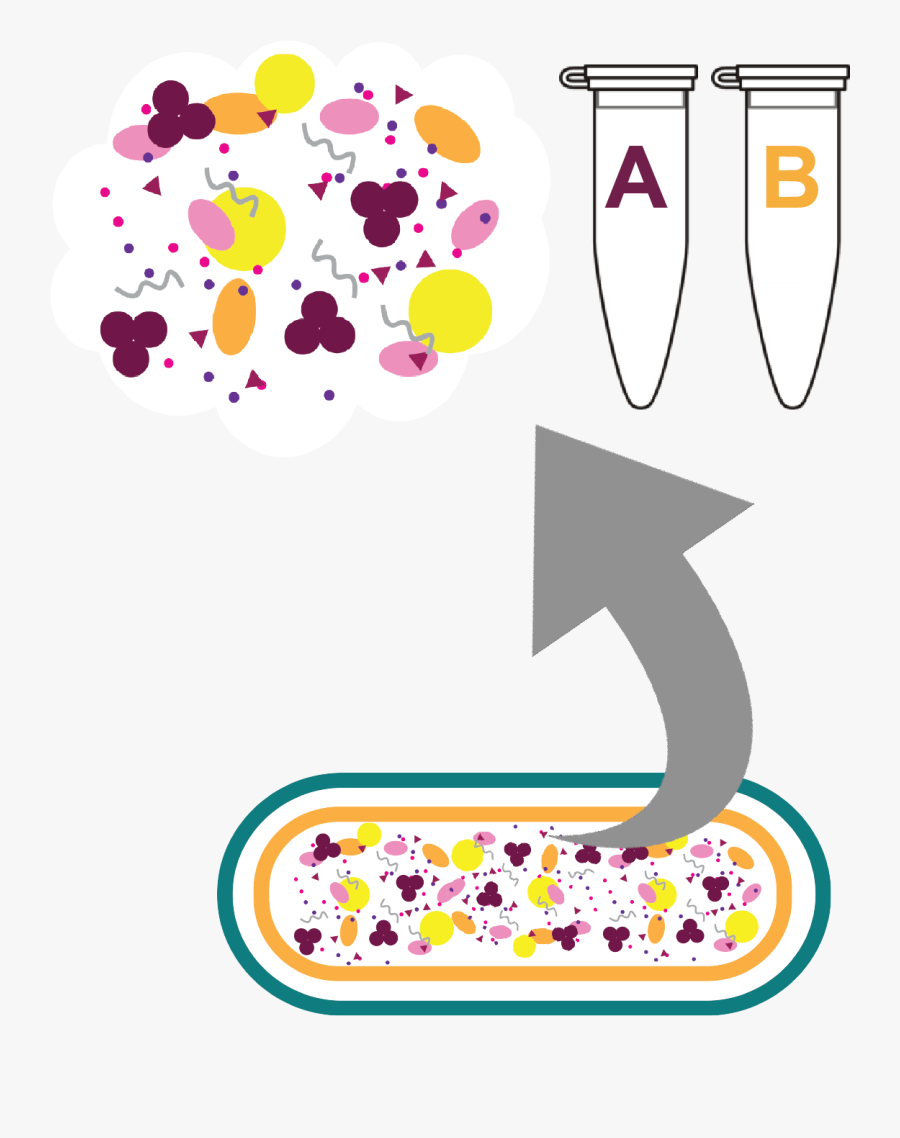 Illustration, Transparent Clipart