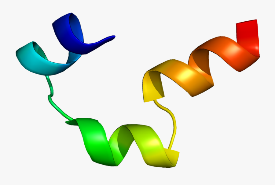 Graphic Design, Transparent Clipart