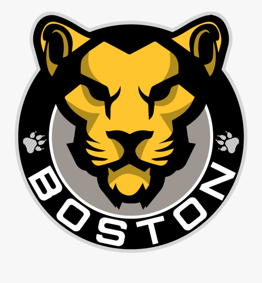 Image Result For Boston Pride Hockey Logo - Nwhl Boston Pride, Transparent Clipart