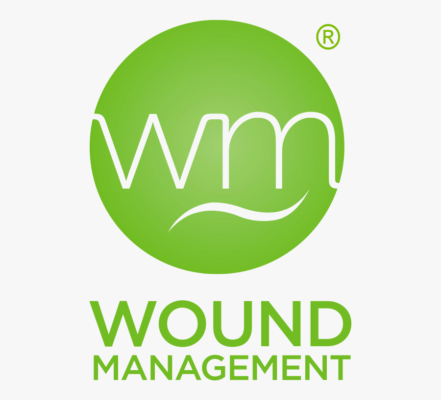 Graphic Design, Transparent Clipart