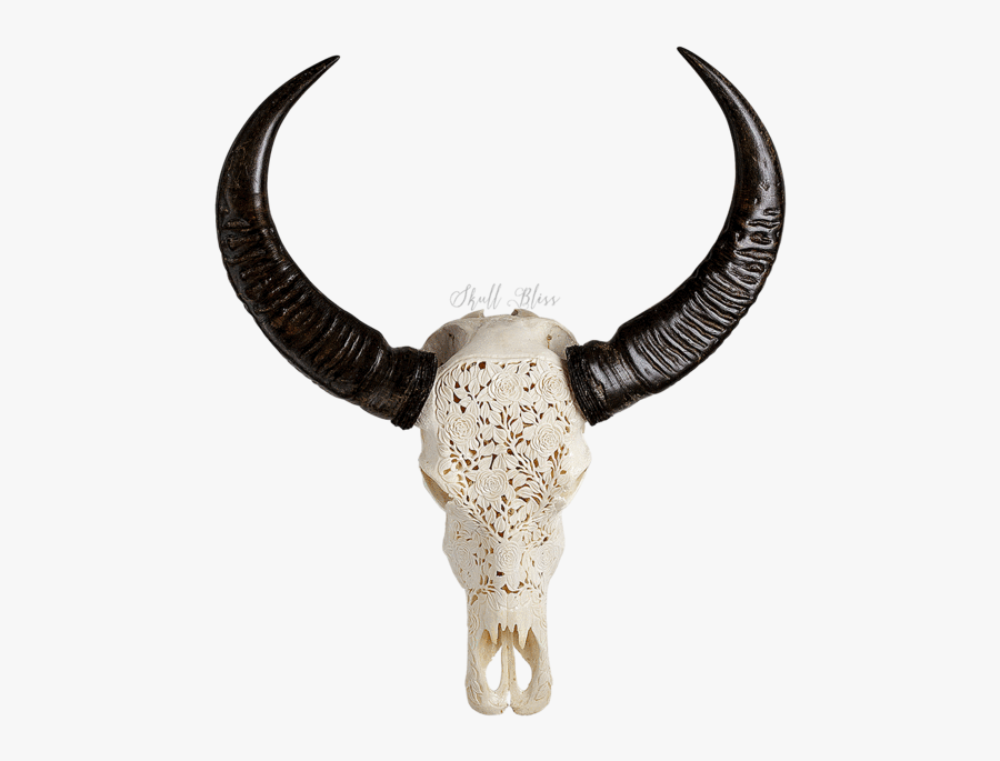 Carved Buffalo Skull - Gothic Bull Skull, Transparent Clipart