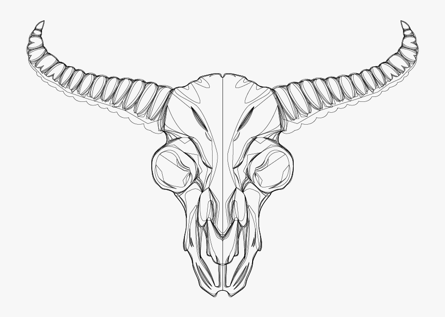 Skull, Transparent Clipart