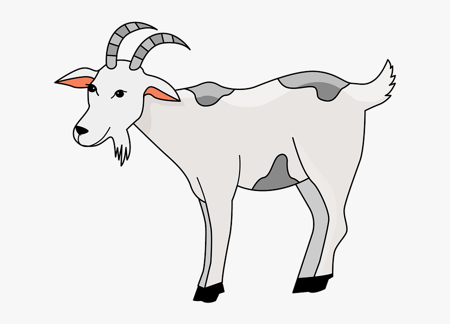 Goat, Transparent Clipart