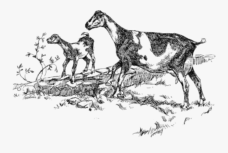 Living With Goats Small - Sketch, Transparent Clipart