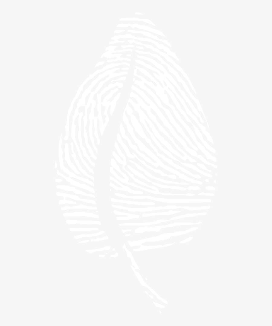 Transparent Darkness Clipart - Illustration, Transparent Clipart