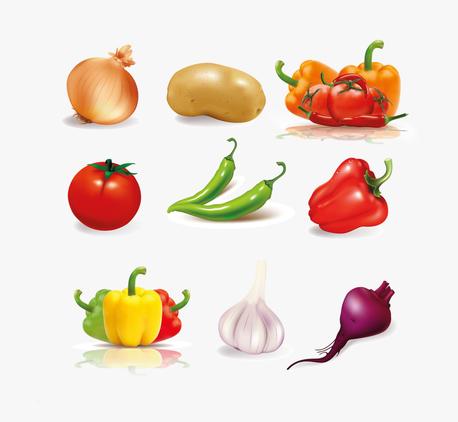 Vector, Transparent Clipart